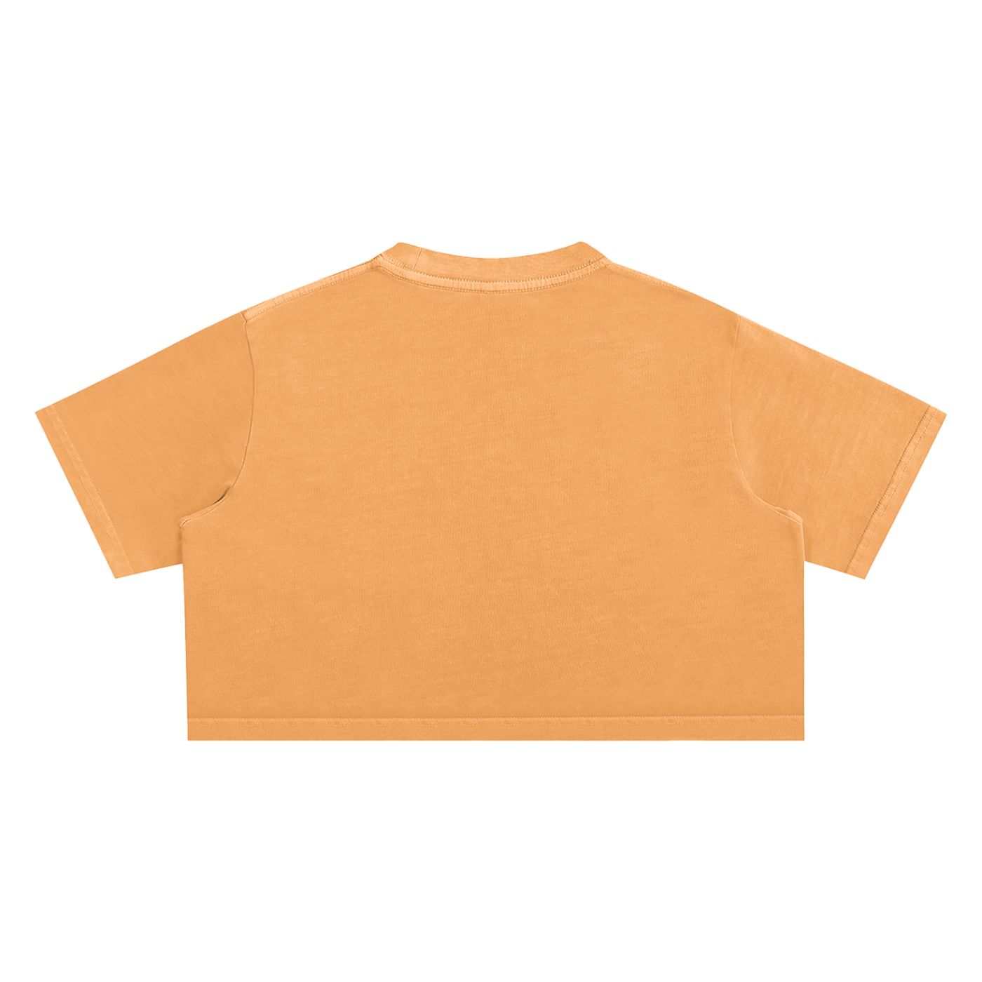 Tequila Trails Crop Top