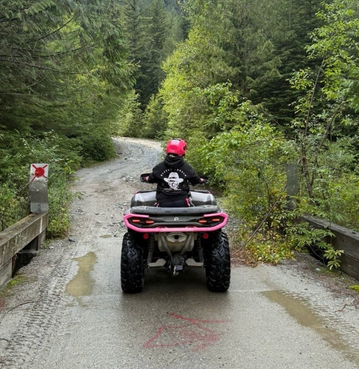 SEEN IN THE WILD